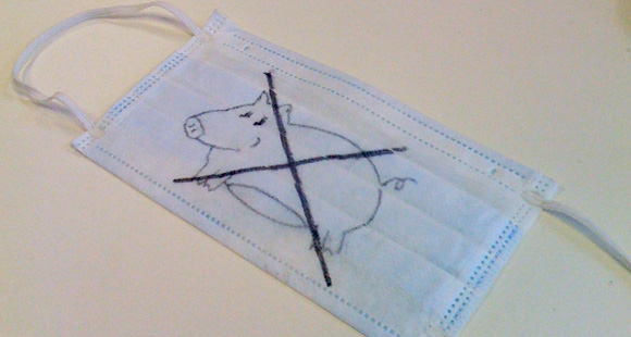 blog_swine